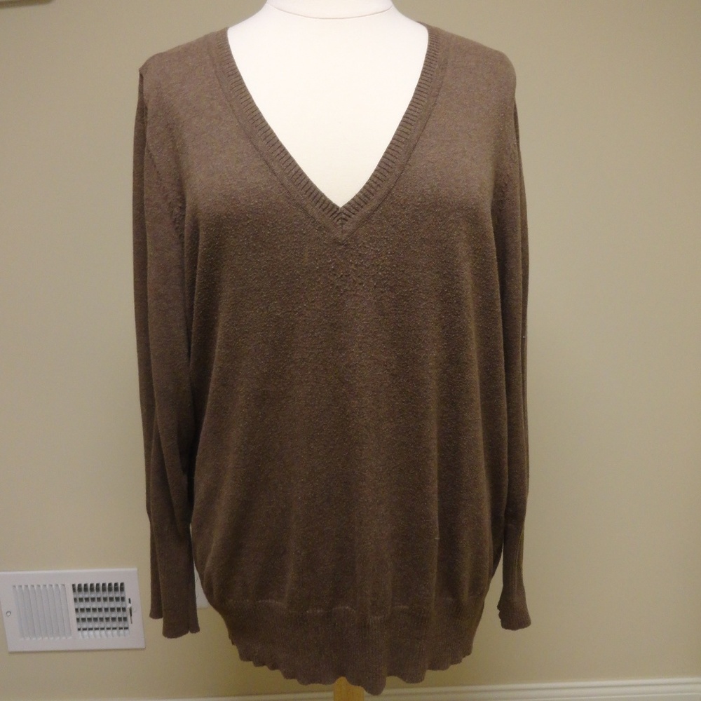 Lane Bryant Long sleeve  V neck sweater